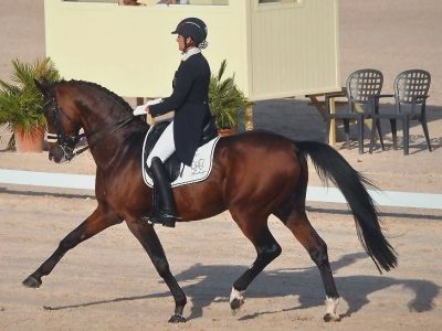 CDI 3* San Giovanni in Marignano: vince Serre grande la Scolari!
