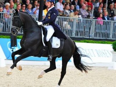 CDI 4* Perl Borg: Totilas stellare con Rath