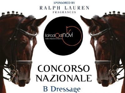 Novi delle meraviglie.