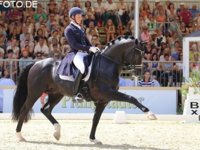 CDI 4* Wiesbaden: Rath e Toto una doppia vittoria convincente.