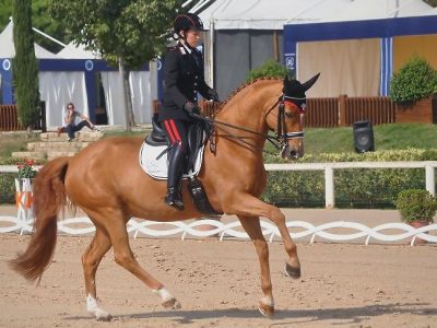 CDI 4* Aachen: Truppa sedicesima ad Aquisgrana con Chablis.