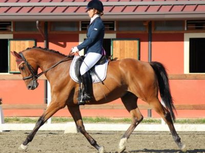 CDN  B Novi: Trofeo Novi un successo la prima.