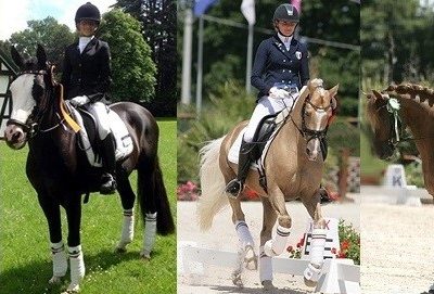 Convocati gli Azzurrini per i Campionati Europei Pony