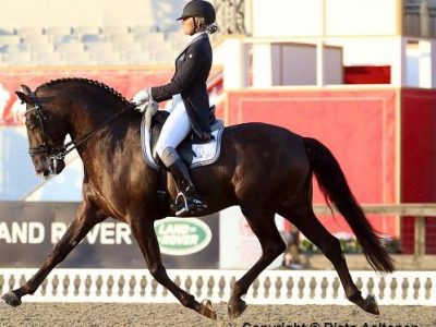 CDI 5* / 3* Falsterbo: Kittel asso pigliatutto! Sil & Sal soddisfatti.