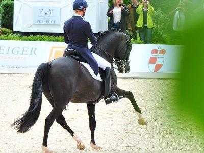 CDI 4* Perl Borg: Rath e Totilas ancora a segno.