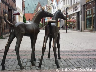 Campionati Mondiali Cavalli Giovani: dal 6 al 10 Agosto a Verden, in Germania.