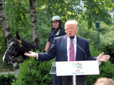 Central Park: presentato alla stampa l’ evento che includerà il dressage.