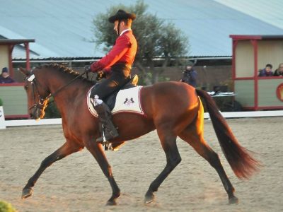 Finale MCI a Cervia.