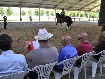 Le flessioni: se ne parlerà ad Equitazione Comparativa