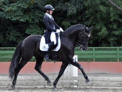 Gli azzurri qualificati per Parigi