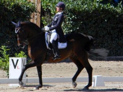 Arezzo pronta per gli “italiani”.