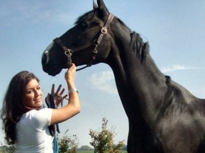 Da BHS opportunità di lavoro.