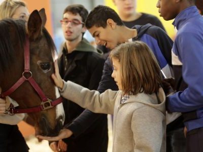 FIERACAVALLI FORMATO FAMIGLIA:  FORMAZIONE, CULTURA, SPETTACOLO E DIVERTIMENTO ASSICURATO