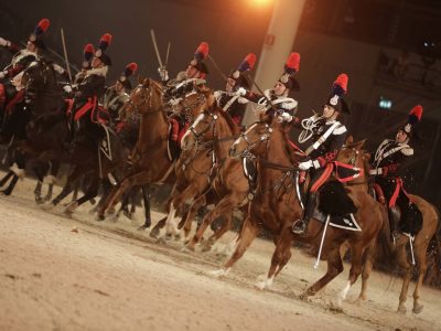 FIERACAVALLI 2014 in archivio.