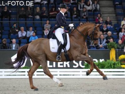 CDI-W Stuttgart: Lütkemeier incanta al German Masters.