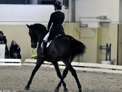 CDN A None: Scolari, Rustignoli e Iemi.