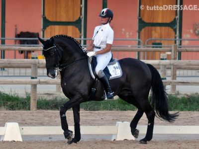 Adequan Global Dressage Festival diventa il più ricco circuito di dressage del mondo.
