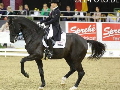 CDI 4* Oldenburg: Sprehe doppia vittoria con Desperados