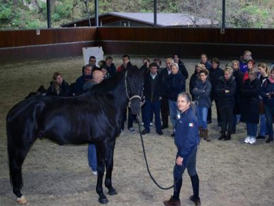 Prestige a Montemerlo