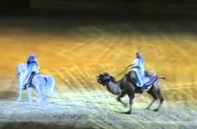 Camel Dressage?