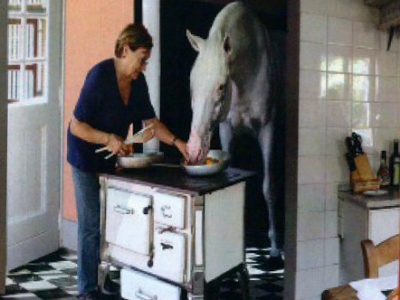 Mariette Withages: c’è un cavallo nella mia cucina.