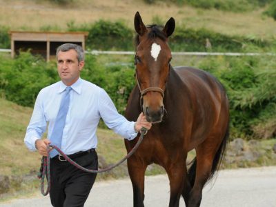 Trasparenza e giustizia, Marco Di Paola scrive al Commissario.