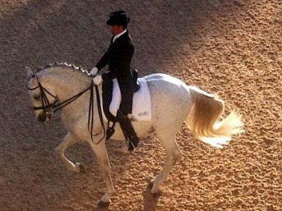 CDI 3* Jerez: Naesgaard Rodriguez vince il GP, Rebecca Parodi e le cicogne…