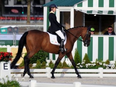 Forum FEI sugli Sport Equestri Paralimpici ad Essen