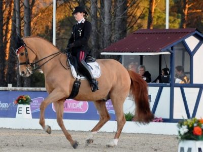CDI 3* Vidauban: Valentina e Chablis bene nella prima settimana di gare.