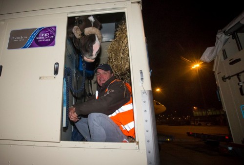 World’s Top Jumping and Dressage Horses Land In Las Vegas for 2015 FEI World Cup