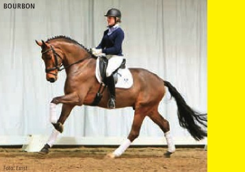 Debutto positivo per il nuovo modello di Asta Hannover.