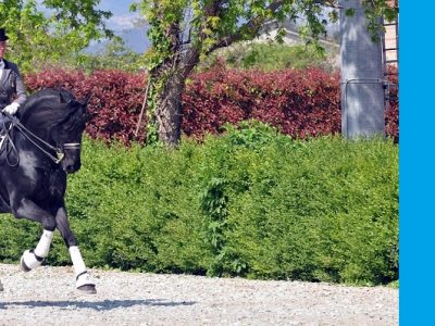 CDI 3 *  Sommacampagna : trionfa la Montanari con Titus