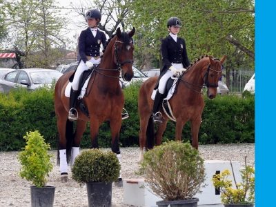 CDIY   Sommacampagna: Menin regina degli Young Riders.