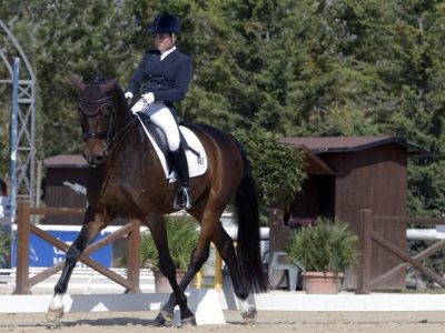 Pie’s Horses bene in Austria nell’ Alpe Adria.