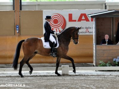 CDI 3*  Sommacampagna: Marcela è Special!