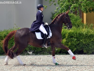 CDIJ Sommacampagna: brava Remold è seconda nel Freestyle