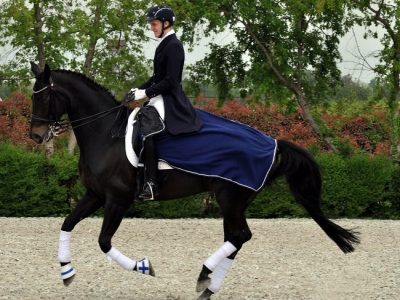 CDIY  Sommacampagna: Finlandia su tutti.