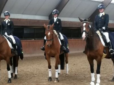 CPEDI3* Mannheim: fin qui, più che bene!