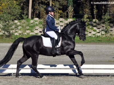CDIP Lipica: Mael Bombaci sul podio. Brave le azzurre.