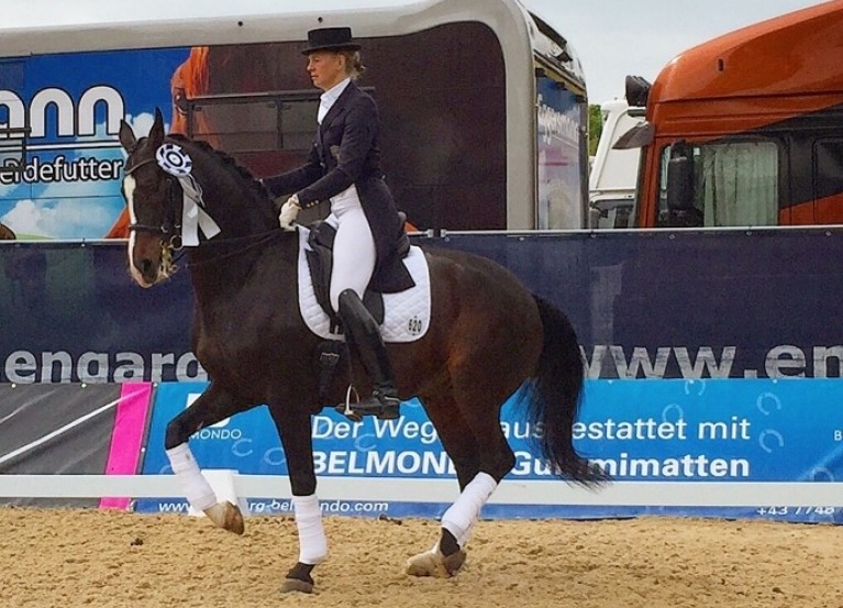 Pia Laus e Shadow 660