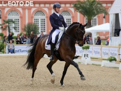 Totilas e Bella Rose riusciremo a vederli a Balve?