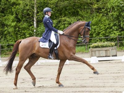 CDI3* Roosendaal: seconda giornata delle Azzurre