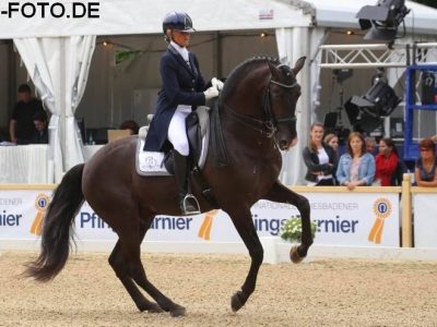 CDI4* Wiesbaden: Domina la Werth con una tripletta!