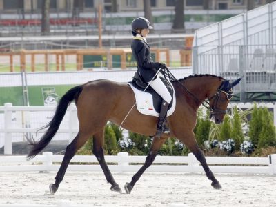 CPEDI3* Mannheim: Italiani Super!