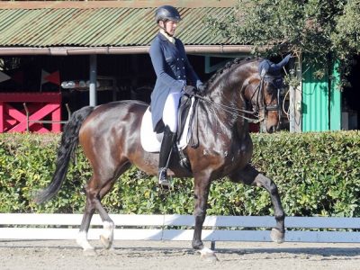 CDN B Busto Arsizio: il Grand Prix si vince sul filo di lana