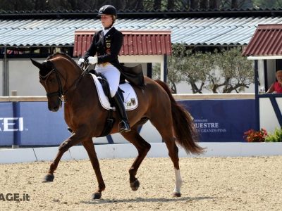 EC Vidauban: YR Freestyle alla Nowag.