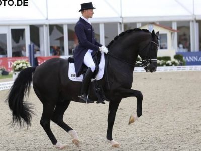 CDI4* Hagen: Totilas trascina la Germania. Silvia Rizzo e Sal si difendono