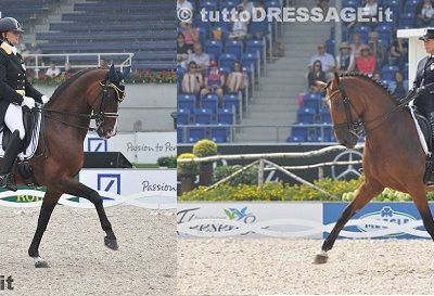 Campionati Europei di Aachen: Grand Prix, fine “primo tempo”