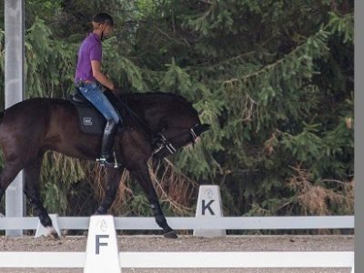 PETA sul piede di guerra, accusa Rath e Gal di maltrattamento