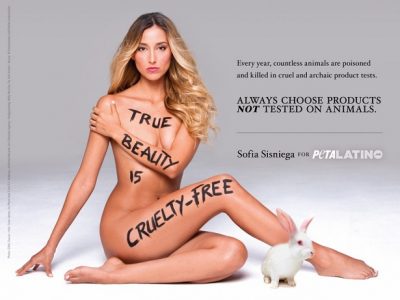 PETA contro Gal e Rath, depositata la denuncia ad Aachen.